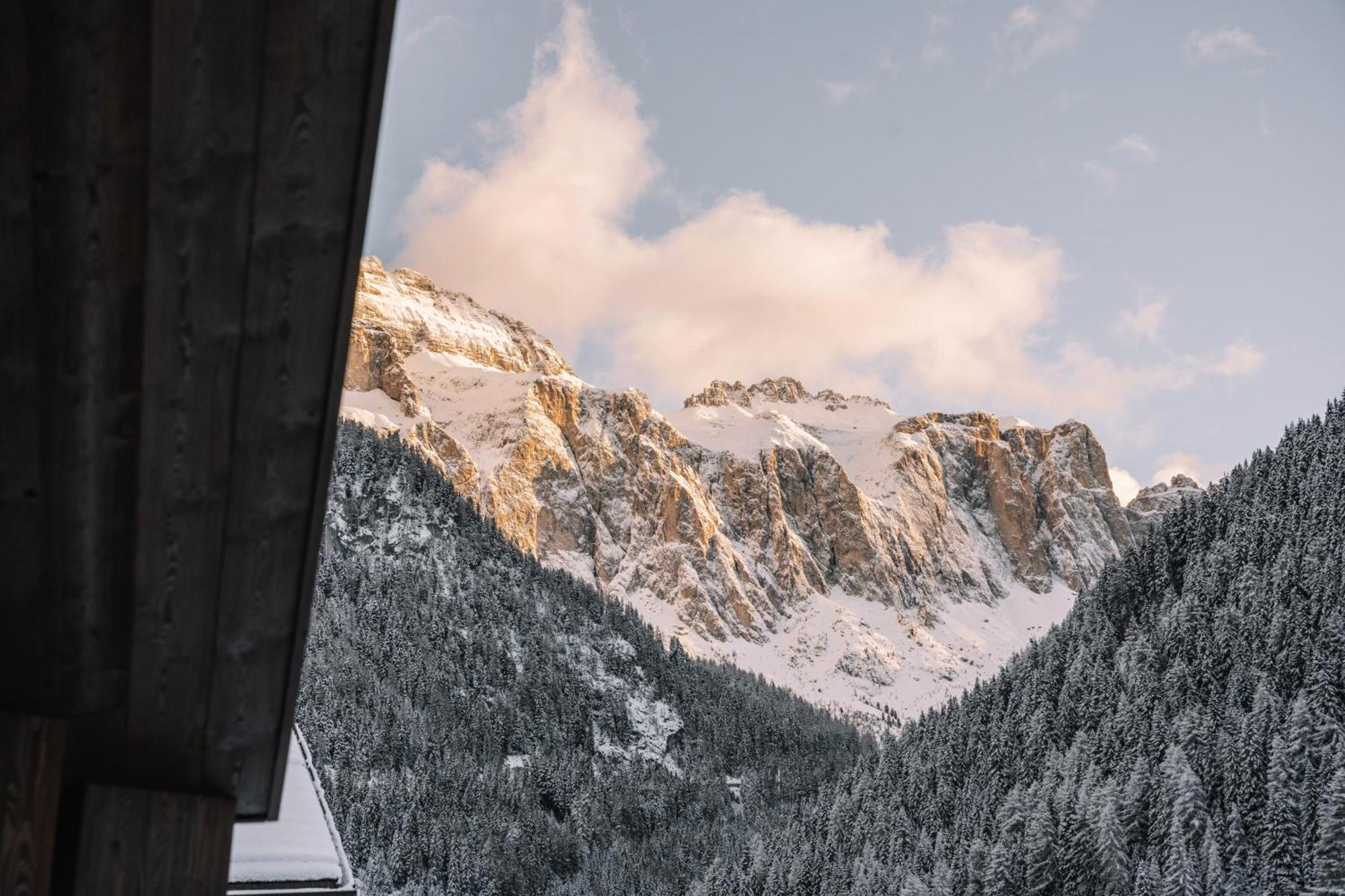 Residence Chalet L'Salvan Selva di Val Gardena Esterno foto